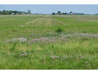 Property photo 7 - LAND AUCTION - 700+/- ACRES OFFERED IN 16 TRACTS IN ALLEN COUNTY, INDIANA